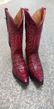 IMG_20260305_100647_477 (1)